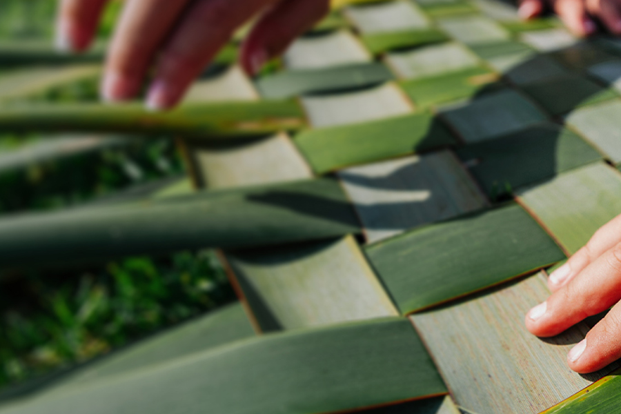 We support who you support