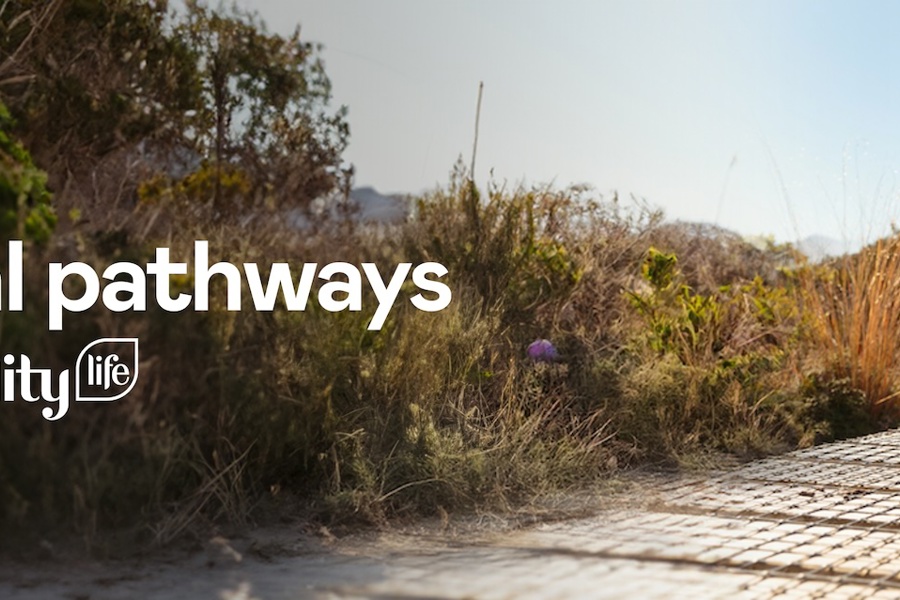 Professional pathways