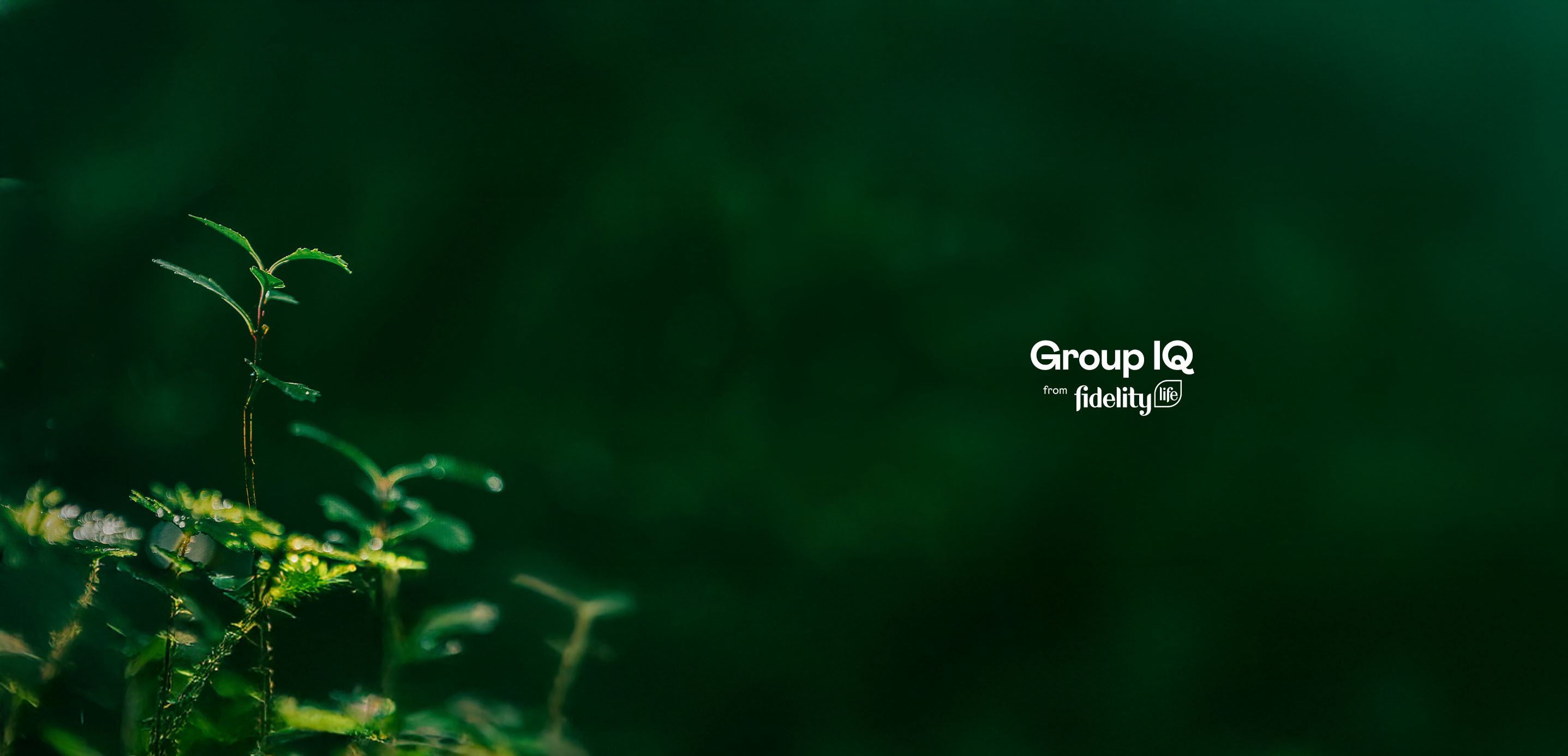 Thank you for signing up to Group IQ!