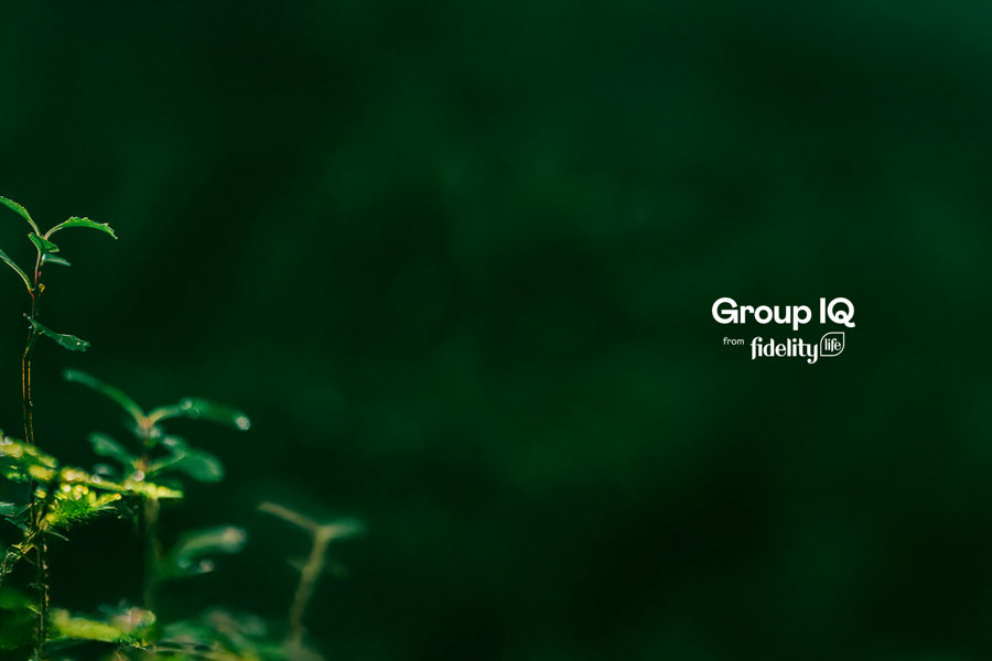 Meet your Group insurance team.